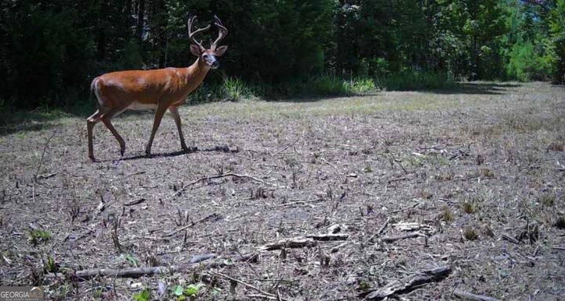 3873 Cove Road Woodbury - Photo 76