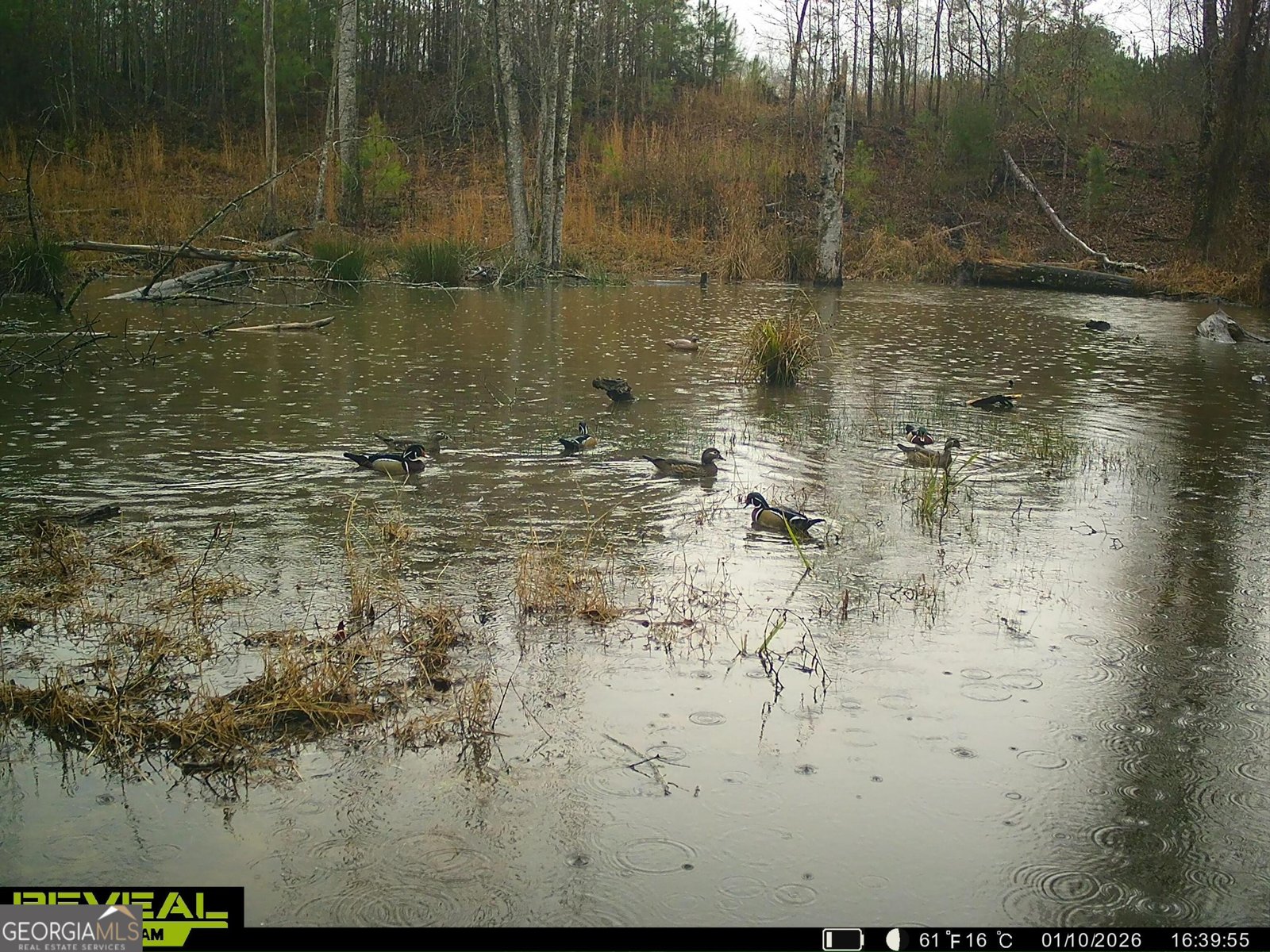 3873 Cove Road Woodbury - Photo 77