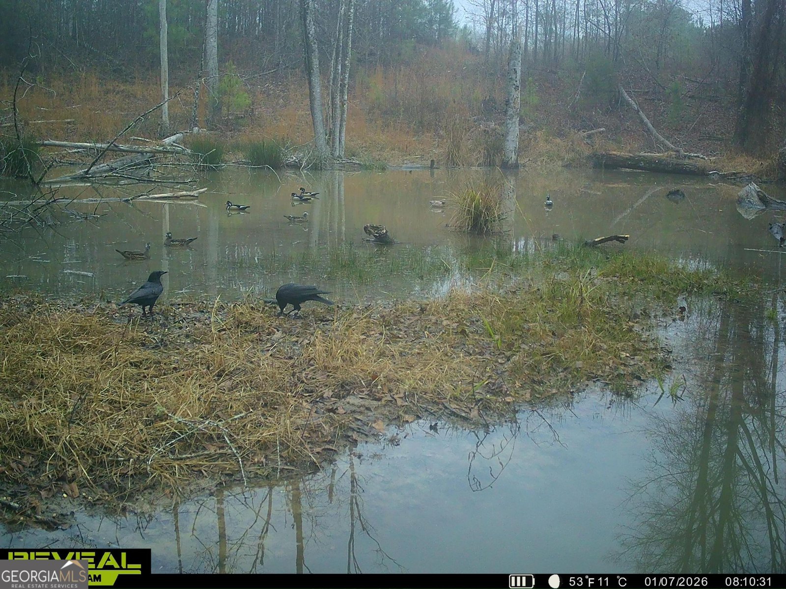 3873 Cove Road Woodbury - Photo 78