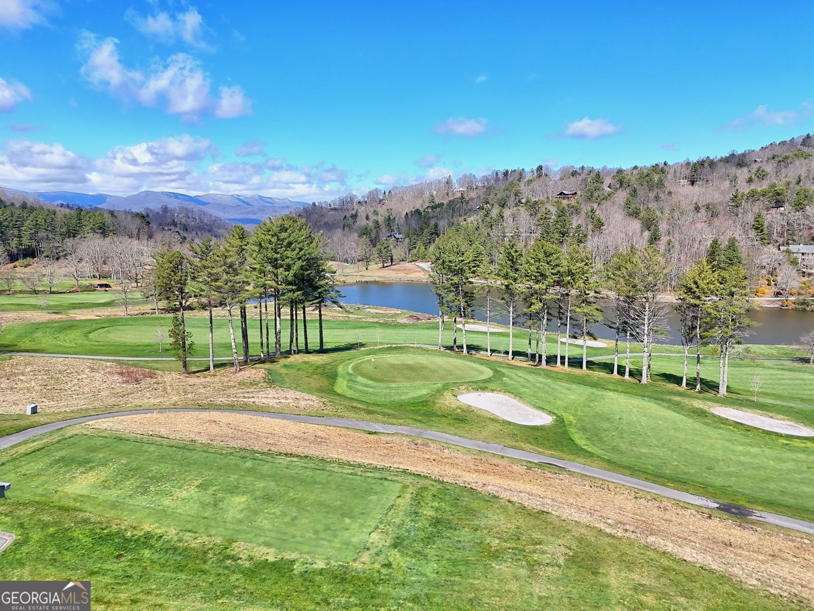 62 Sun Valley Circle Dillard - Photo 48