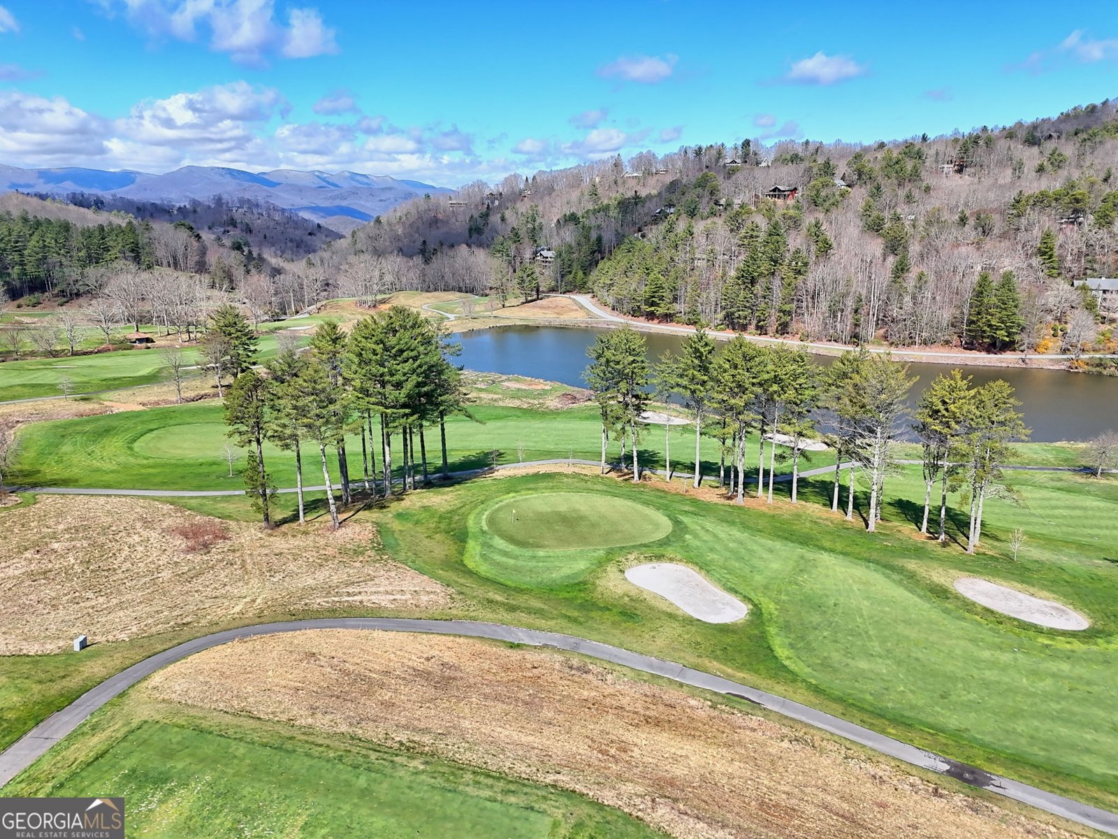 62 Sun Valley Circle Dillard - Photo 49