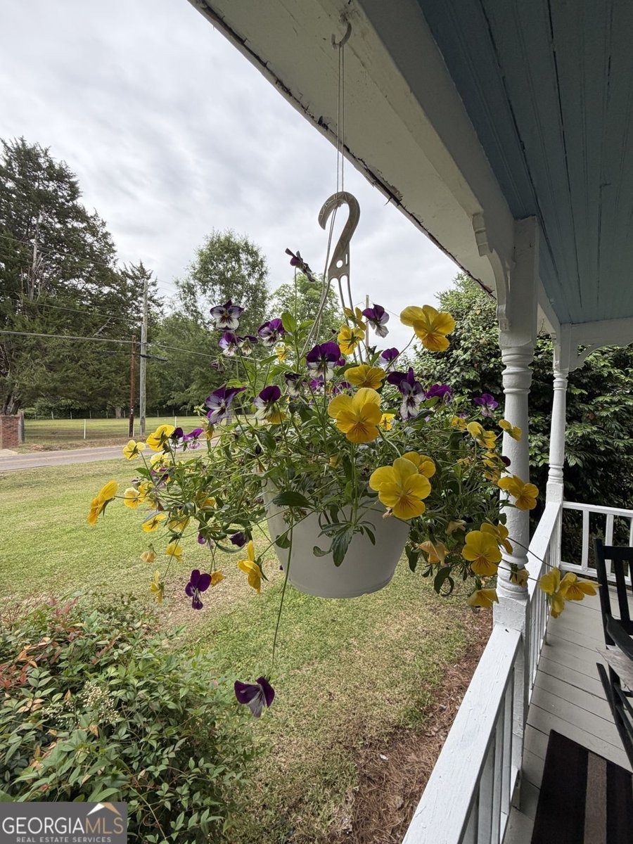 209 Old Perry Road Marshallville - Photo 28