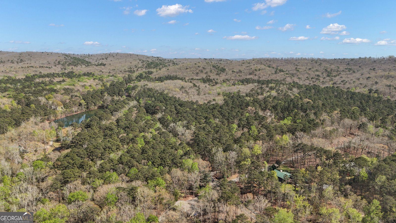 36 Sourwood Drive Pine Mountain - Photo 76