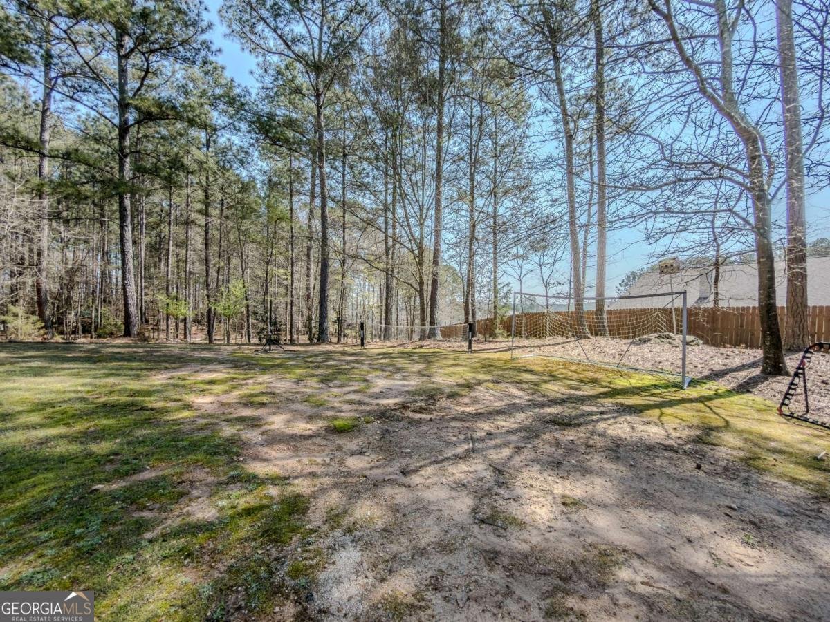 2199 Cedar Lake Court Loganville - Photo 50