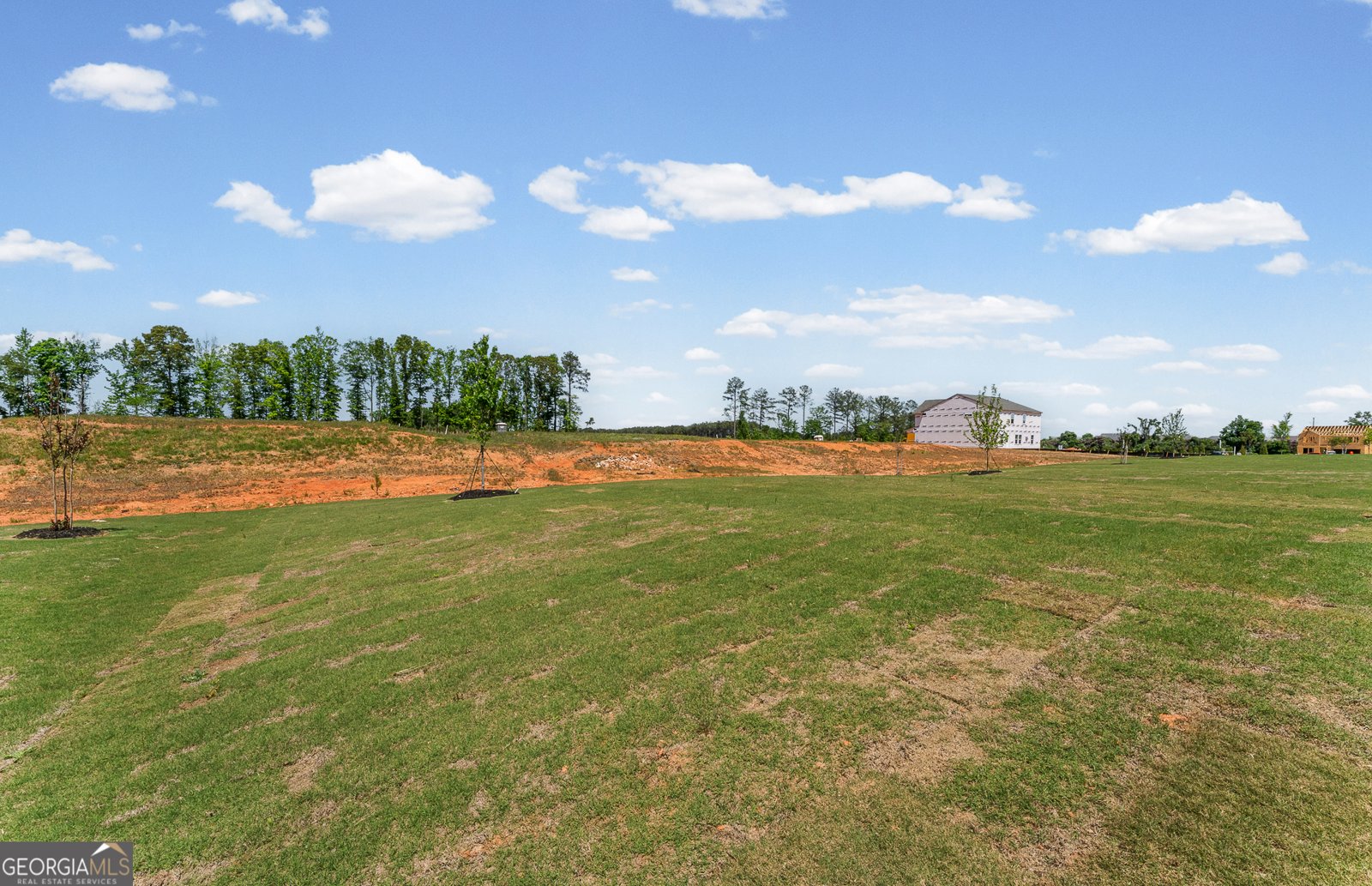 628 Vidalia Park Way Mcdonough - Photo 26