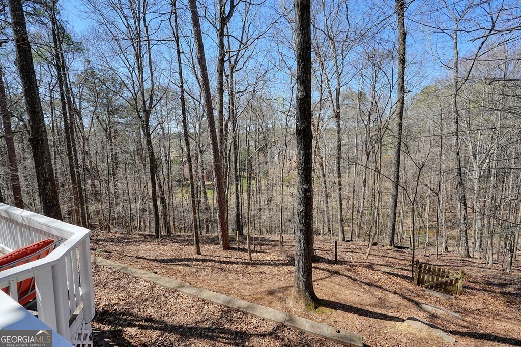 315 Stevens Creek Court Johns Creek - Photo 69