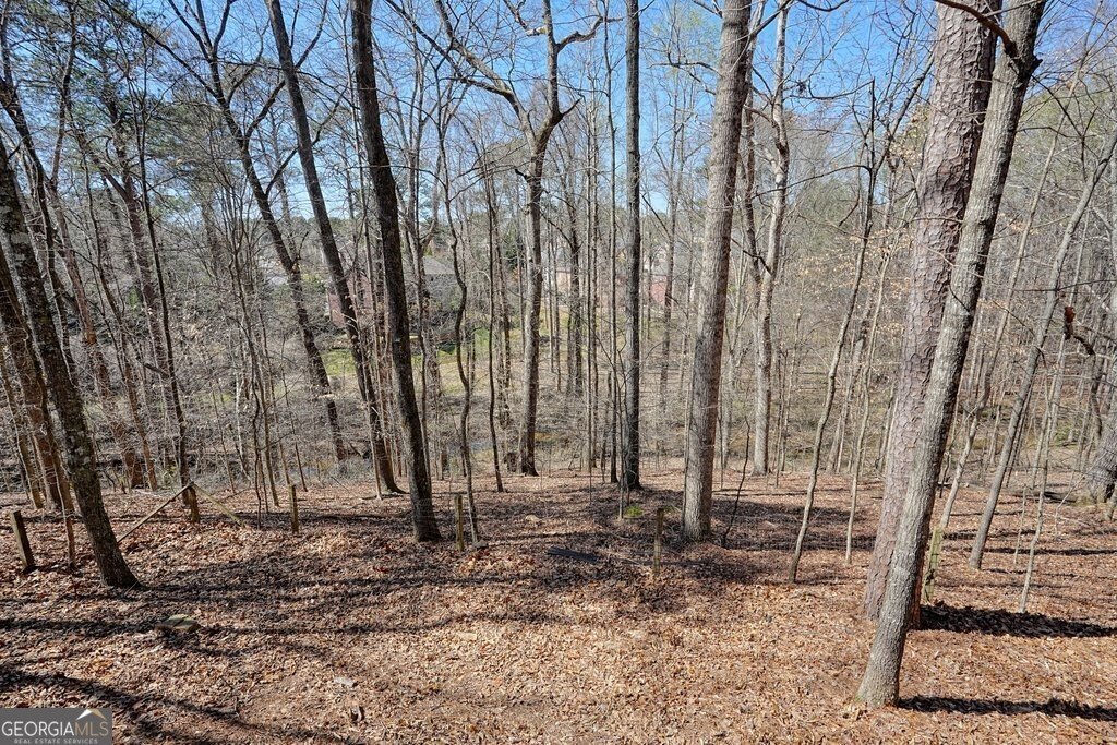 315 Stevens Creek Court Johns Creek - Photo 73