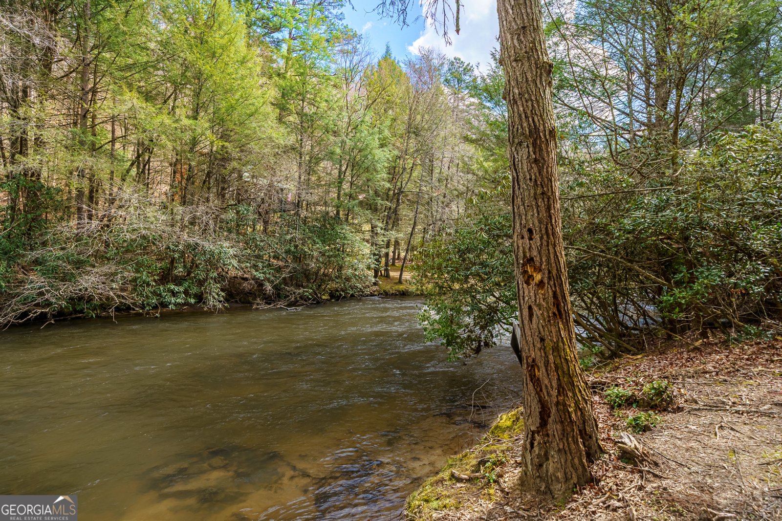 1449 Cherokee Lane McCaysville - Photo 54