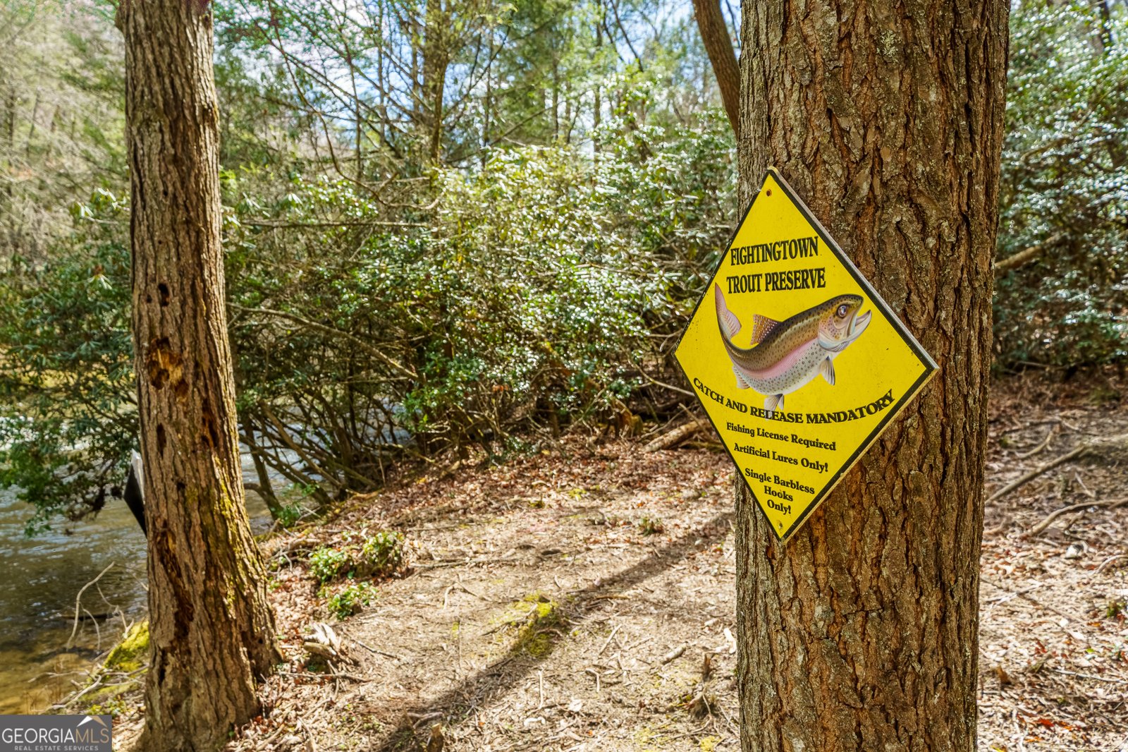 1449 Cherokee Lane McCaysville - Photo 55