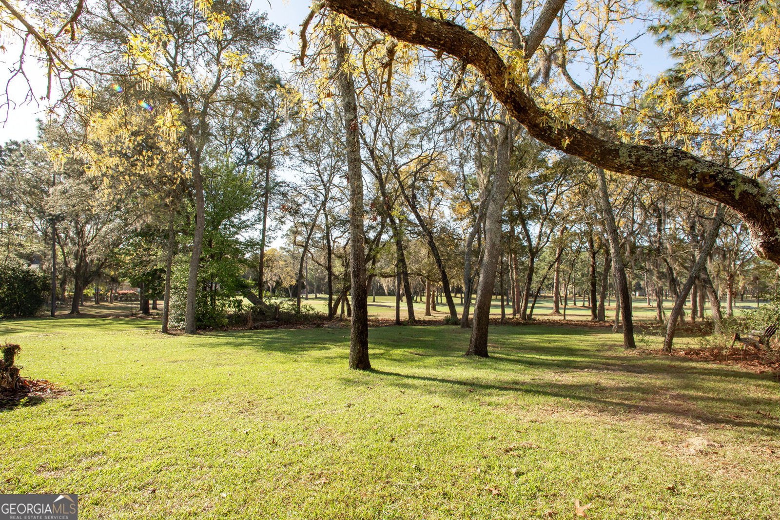1473 River Oaks Drive Blackshear - Photo 20