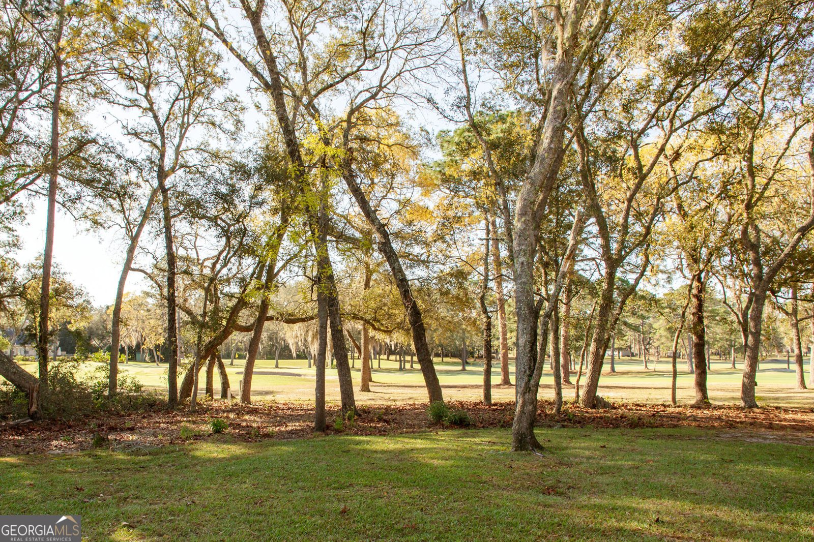 1473 River Oaks Drive Blackshear - Photo 21