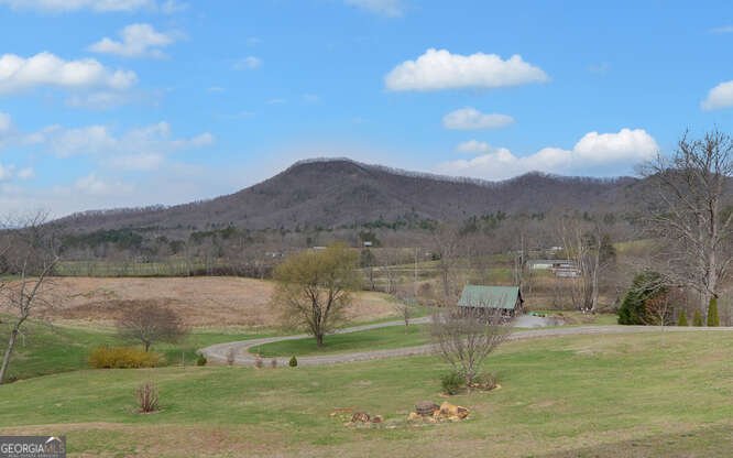 685 Barefoot Road Hiawassee - Photo 61