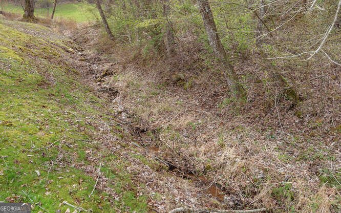 685 Barefoot Road Hiawassee - Photo 62