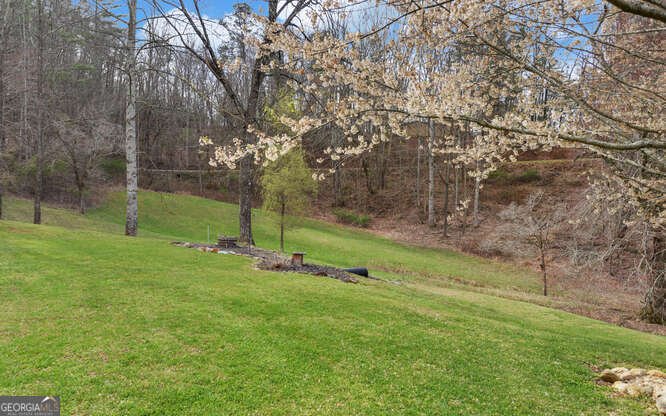 685 Barefoot Road Hiawassee - Photo 64