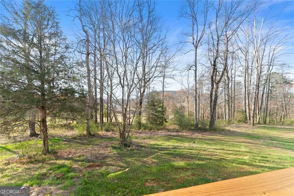 3260 Hwy 255 Sautee Nacoochee - Photo 40