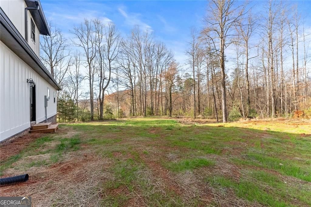 3260 Hwy 255 Sautee Nacoochee - Photo 43