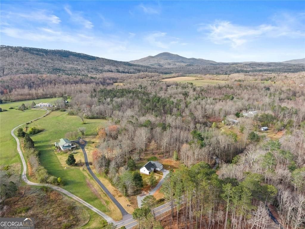 3260 Hwy 255 Sautee Nacoochee - Photo 46