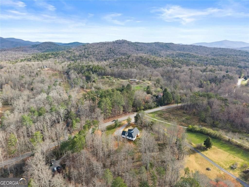 3260 Hwy 255 Sautee Nacoochee - Photo 47