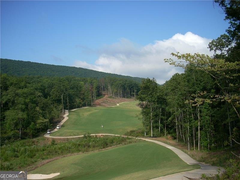 308 Pinebrook Drive Waleska - Photo 41