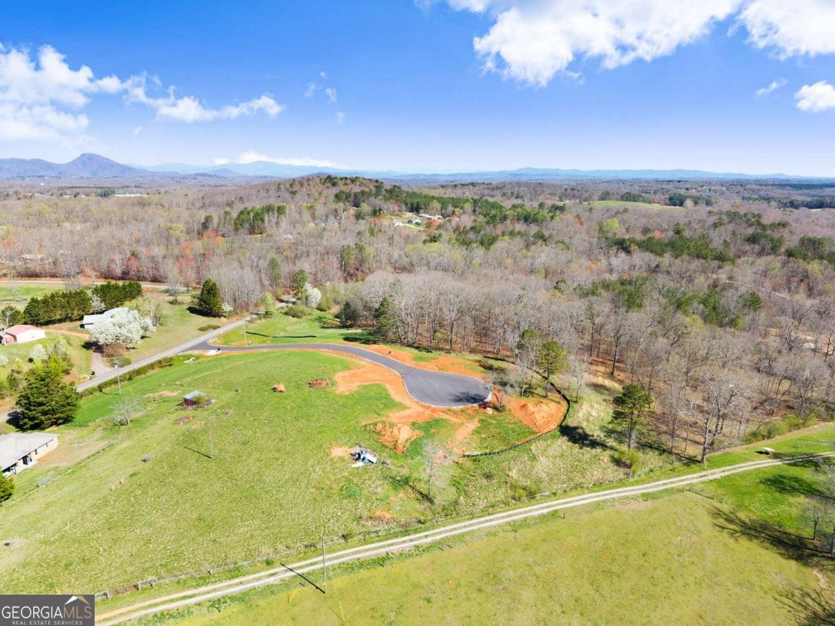 19 White Oak Court Cleveland - Photo 12