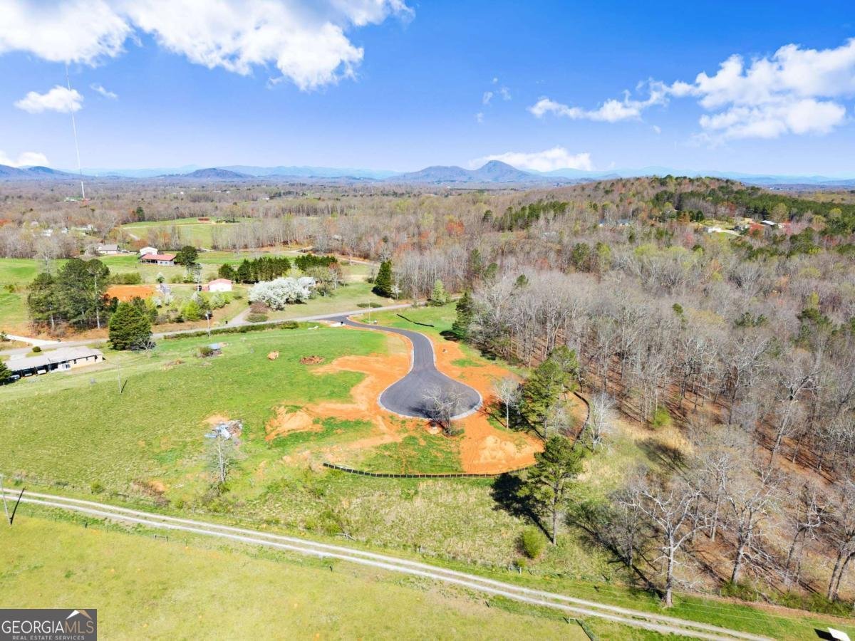 19 White Oak Court Cleveland - Photo 13