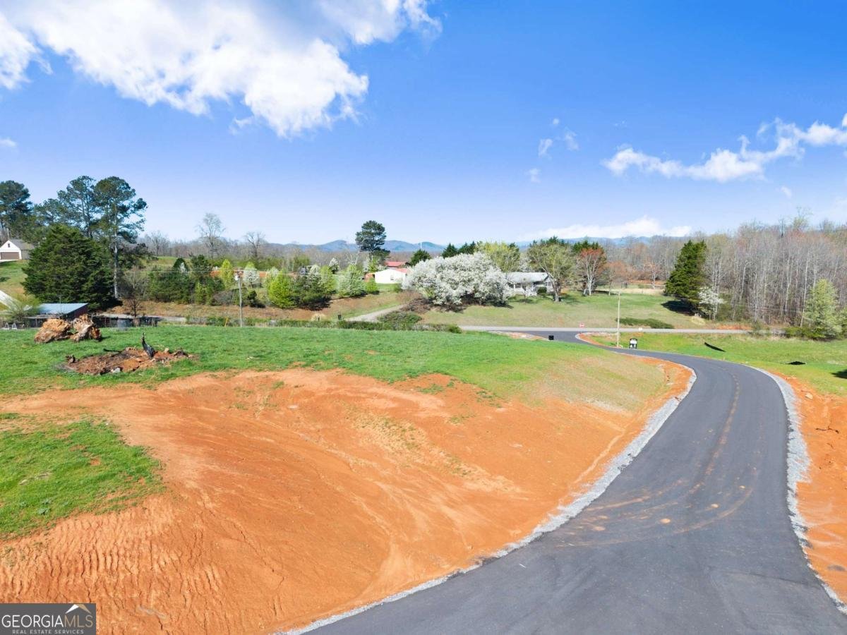 19 White Oak Court Cleveland - Photo 25