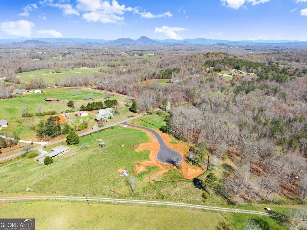 19 White Oak Court Cleveland - Photo 8