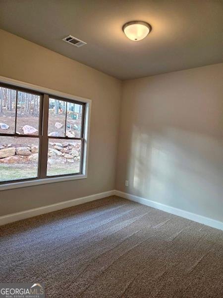 113 Elder Court Waleska - Photo 15