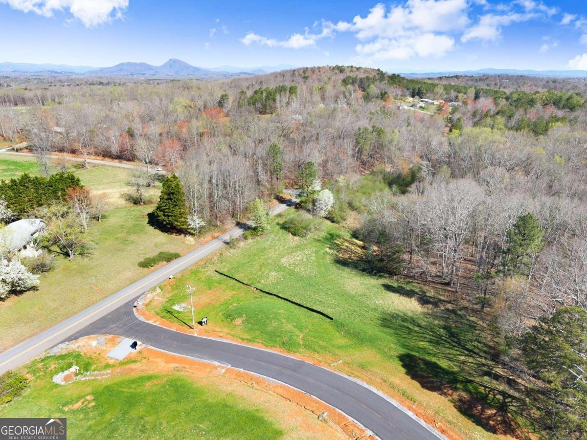 48 White Oak Court Cleveland - Photo 16