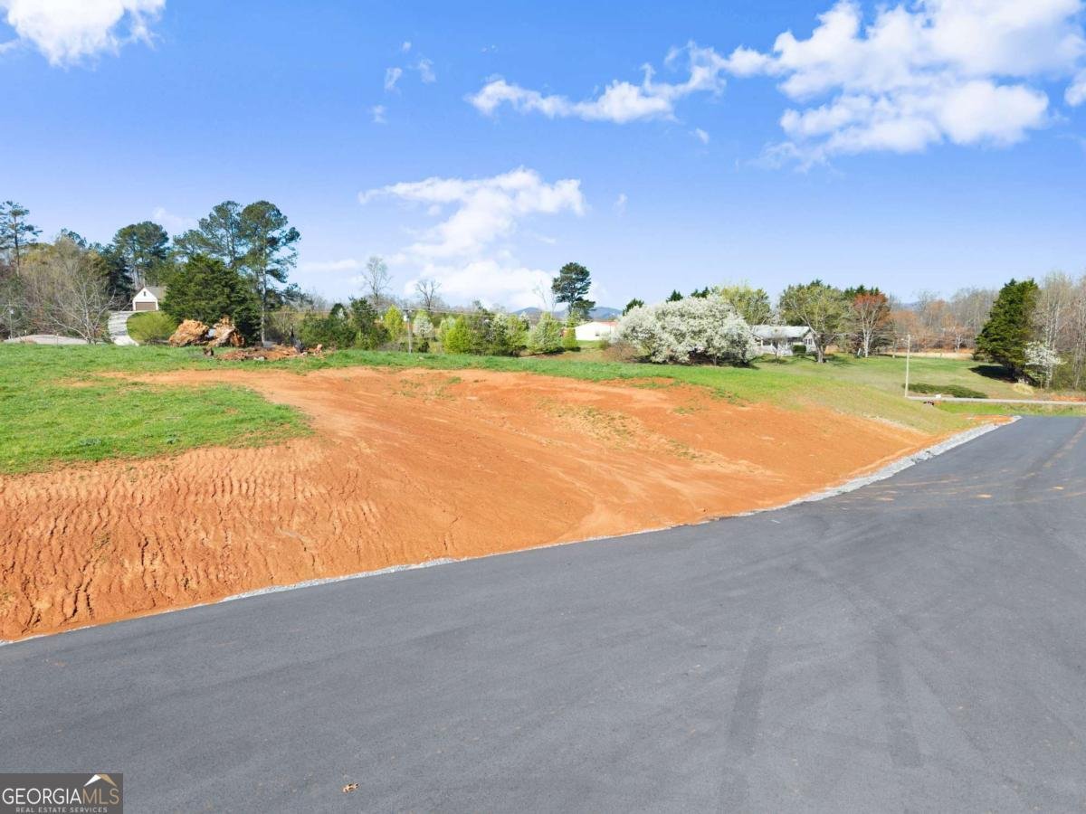 48 White Oak Court Cleveland - Photo 24