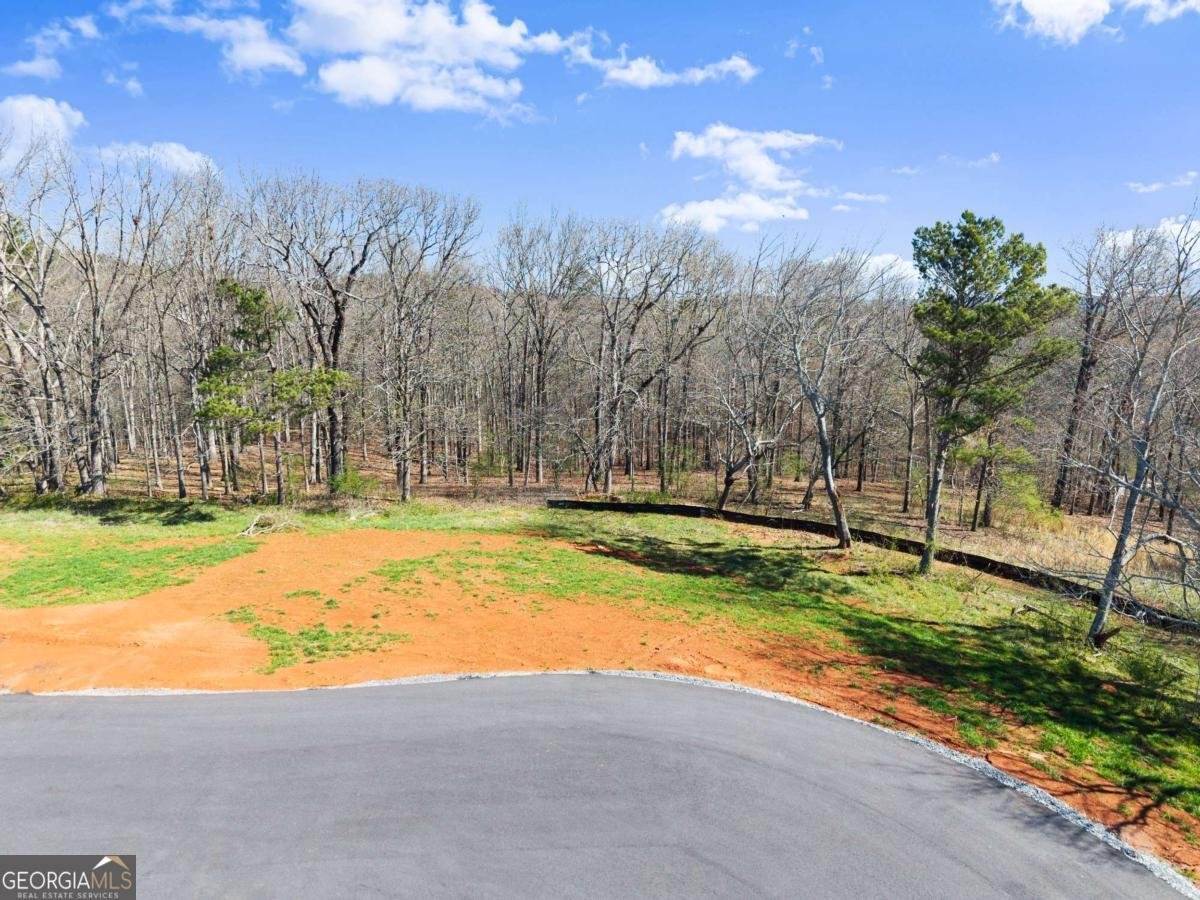 48 White Oak Court Cleveland - Photo 27