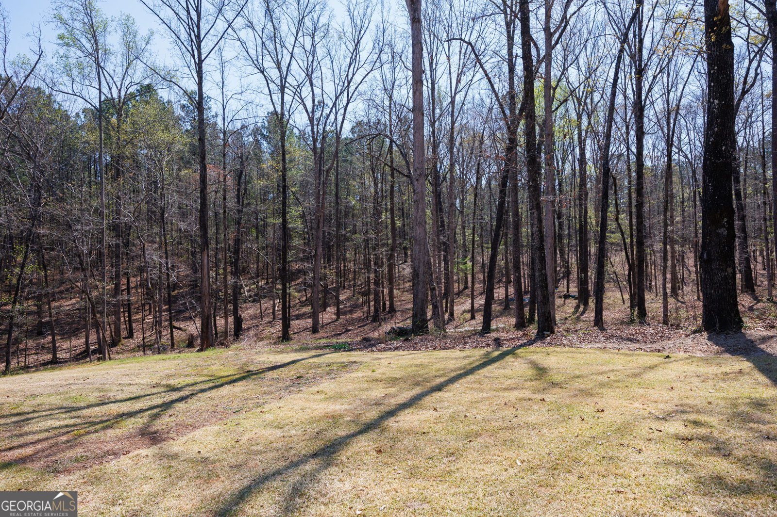 131 Woods Road Juliette - Photo 37