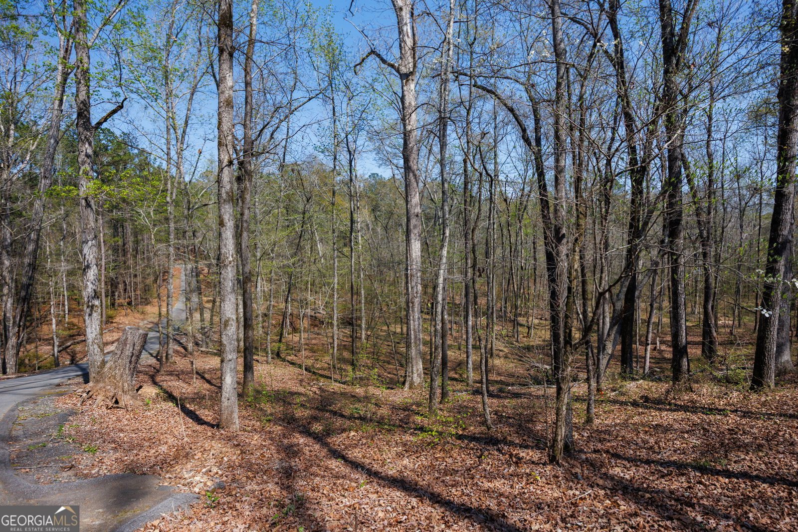 131 Woods Road Juliette - Photo 44