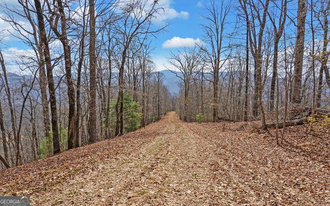 279 Collins Creek Road Hiawassee - Photo 36