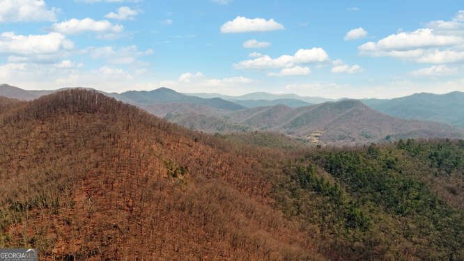 279 Collins Creek Road Hiawassee - Photo 47