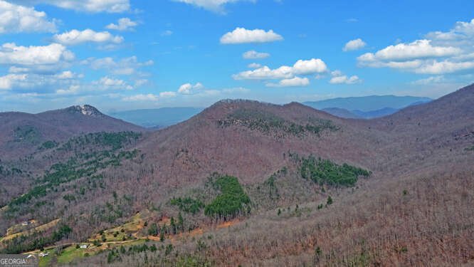 279 Collins Creek Road Hiawassee - Photo 48