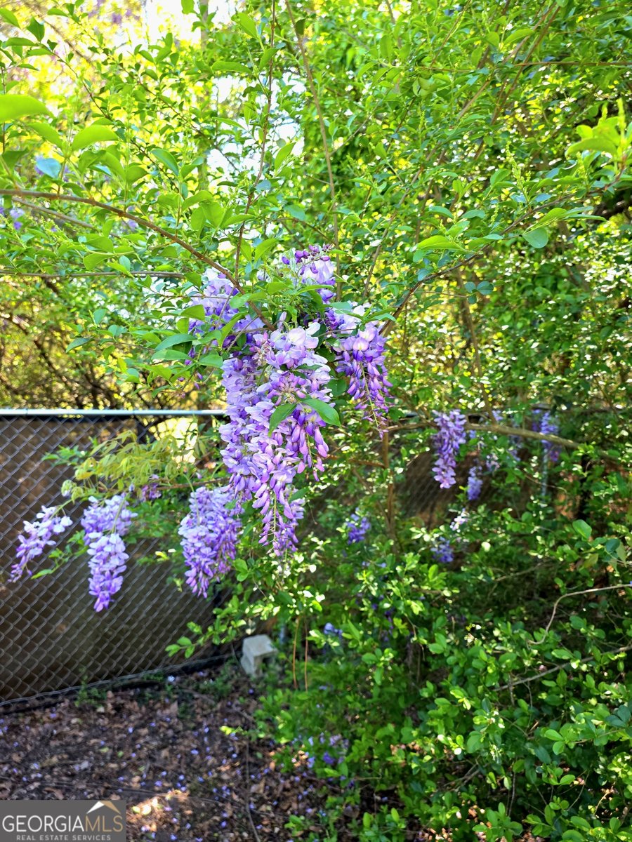 729 Jones Avenue Statesboro - Photo 19