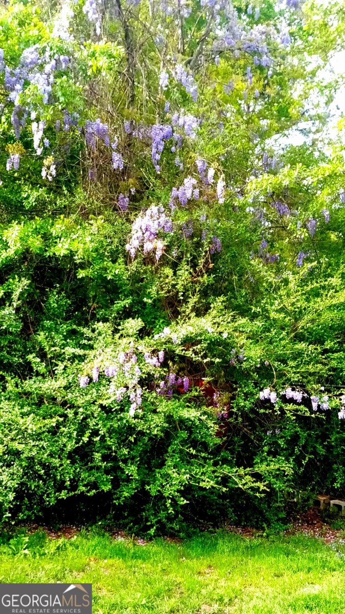 729 Jones Avenue Statesboro - Photo 20