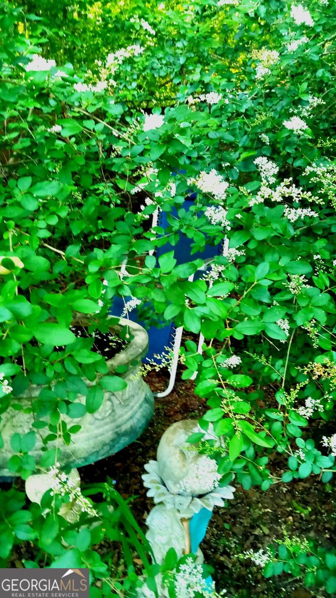 729 Jones Avenue Statesboro - Photo 21