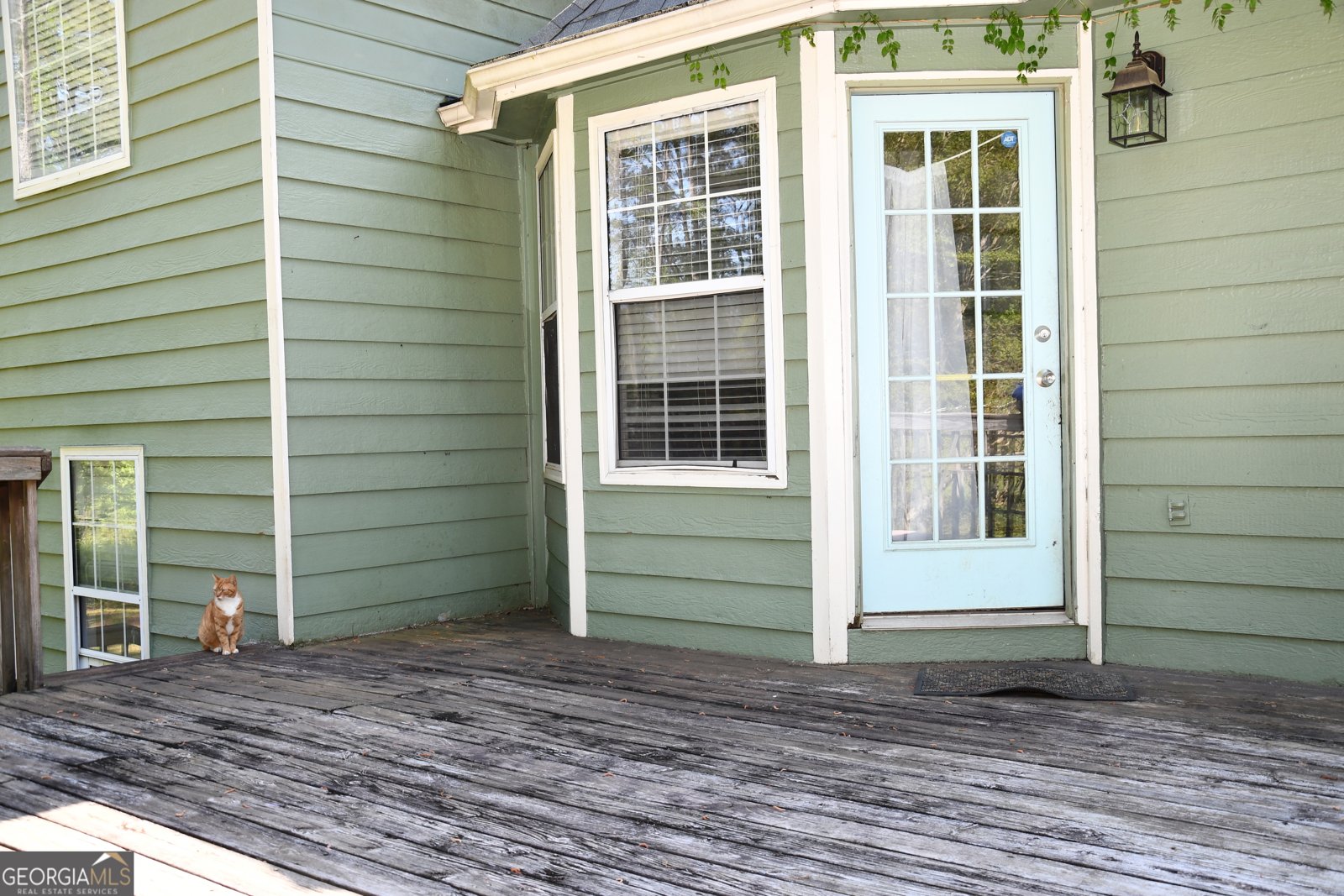 629 Locust Road Locust Grove - Photo 51