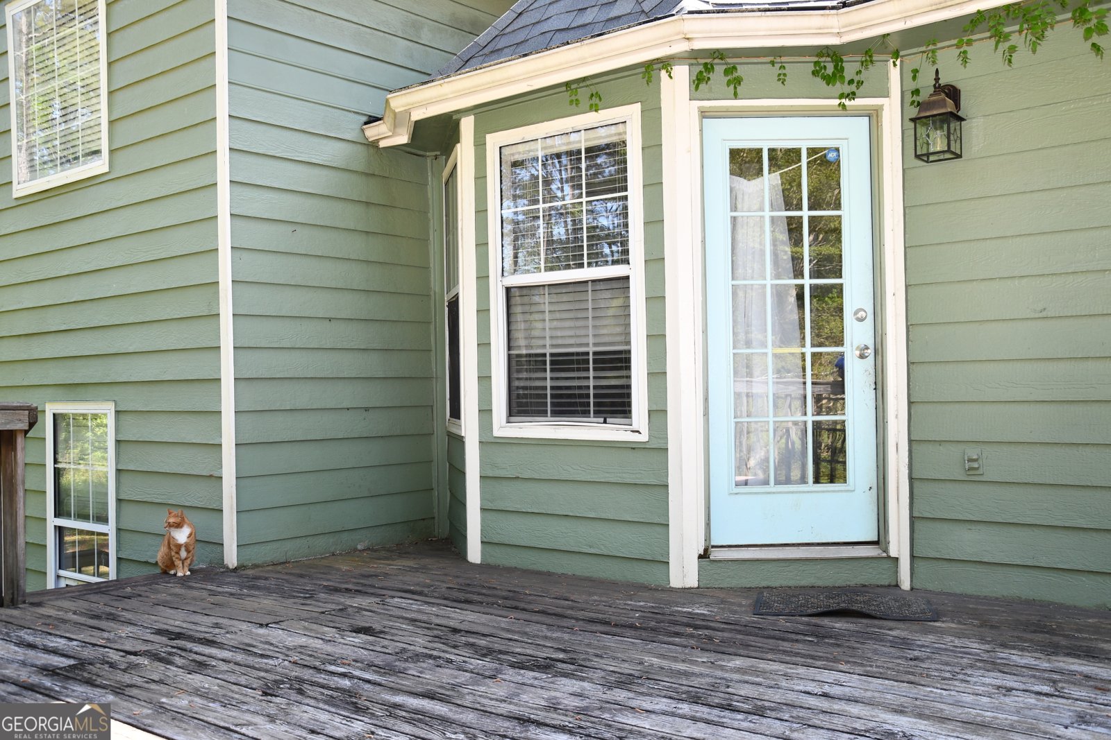 629 Locust Road Locust Grove - Photo 52