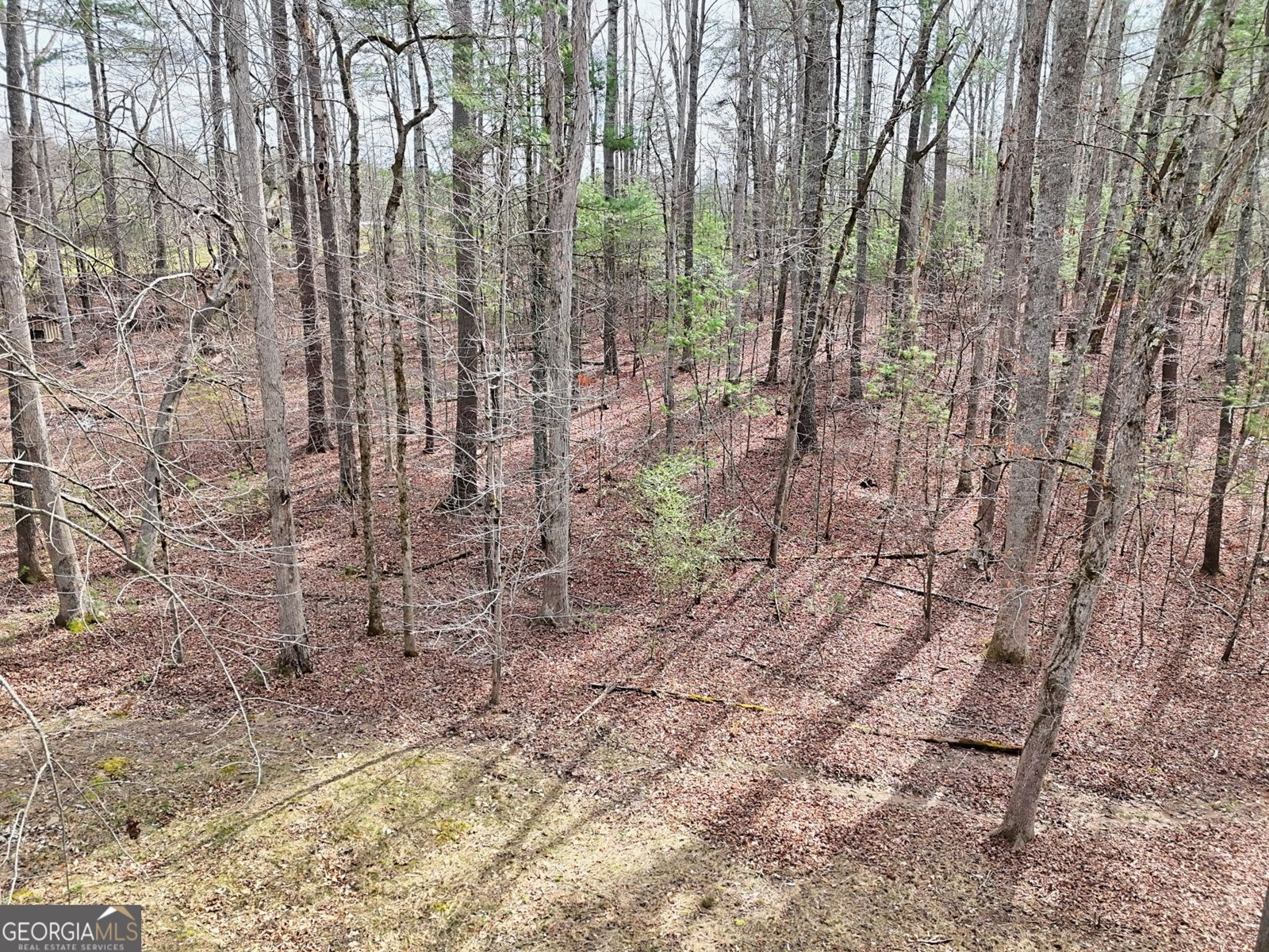 91 Margie Lane Blairsville - Photo 51