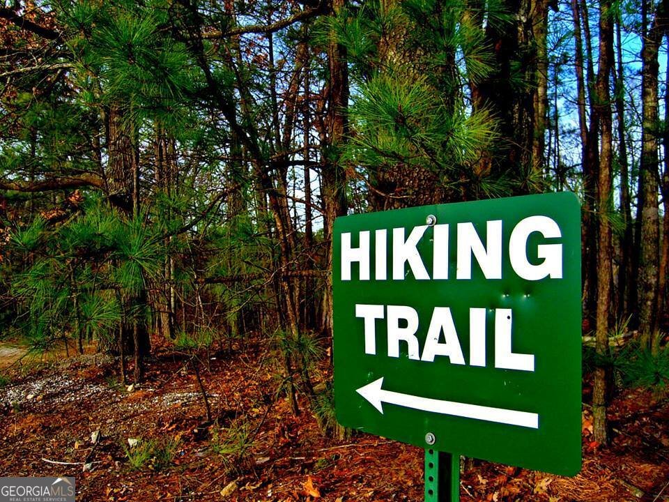 295 Clearview Court Villa Rica - Photo 21