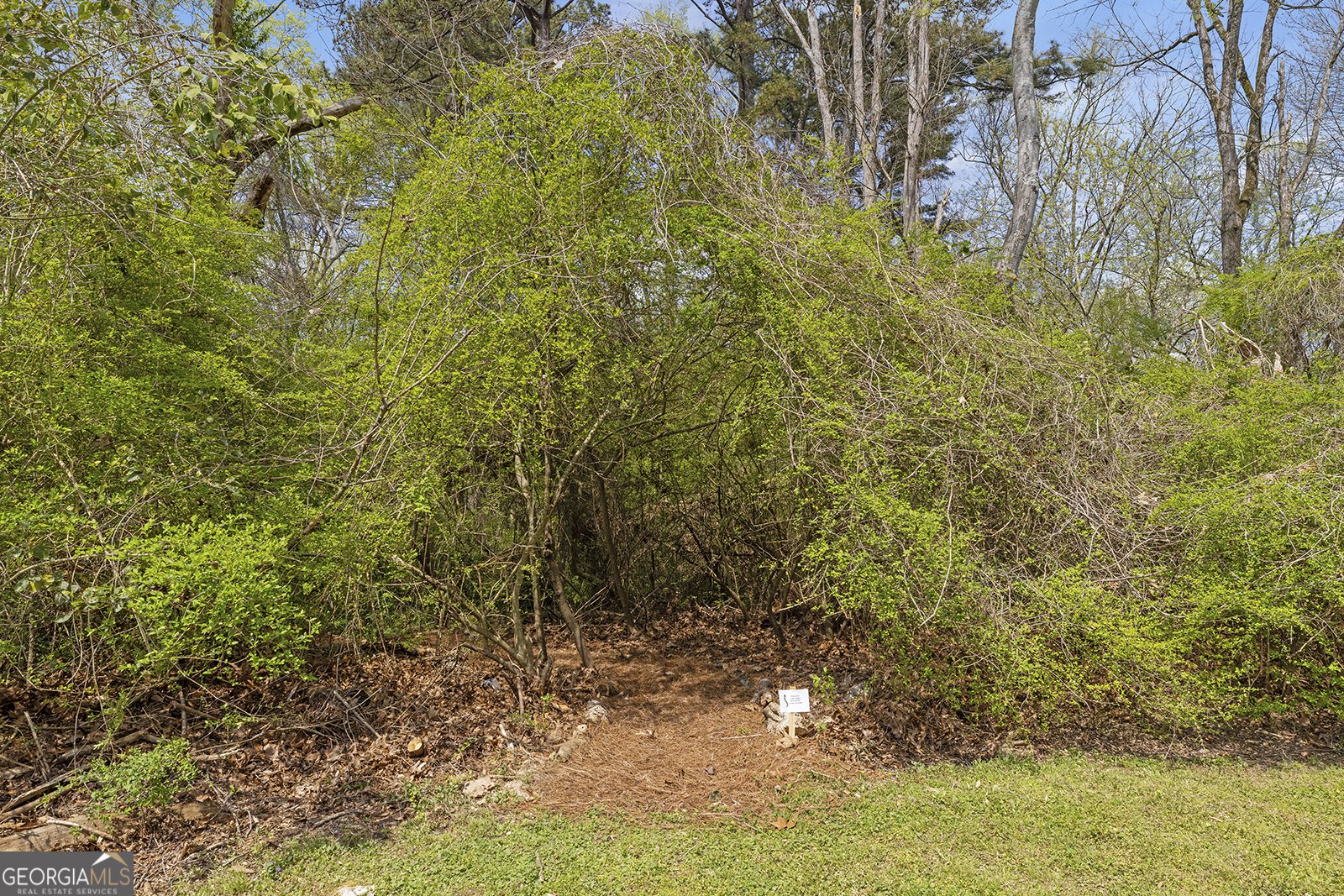 1620 Anita Place Atlanta - Photo 38