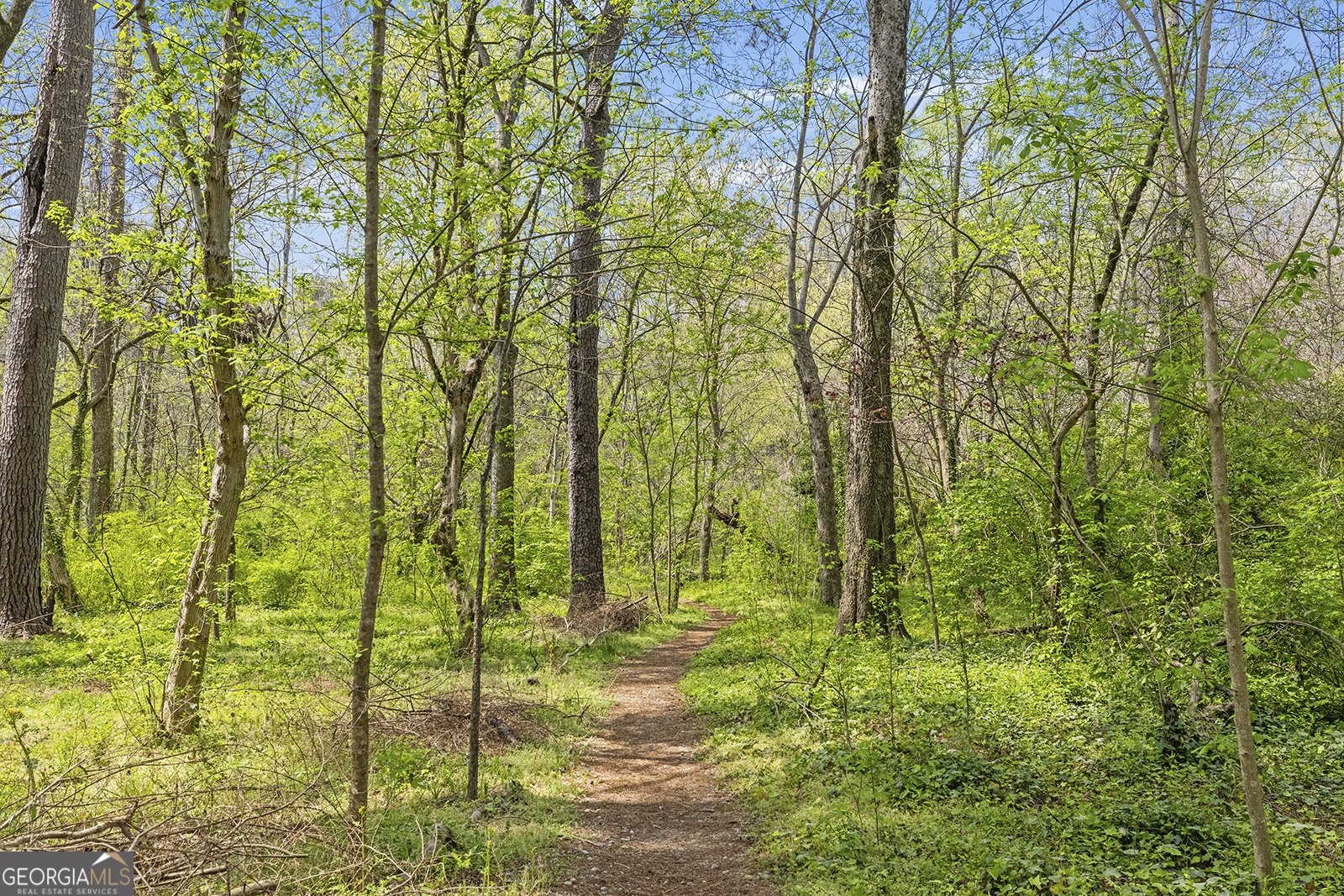 1620 Anita Place Atlanta - Photo 43