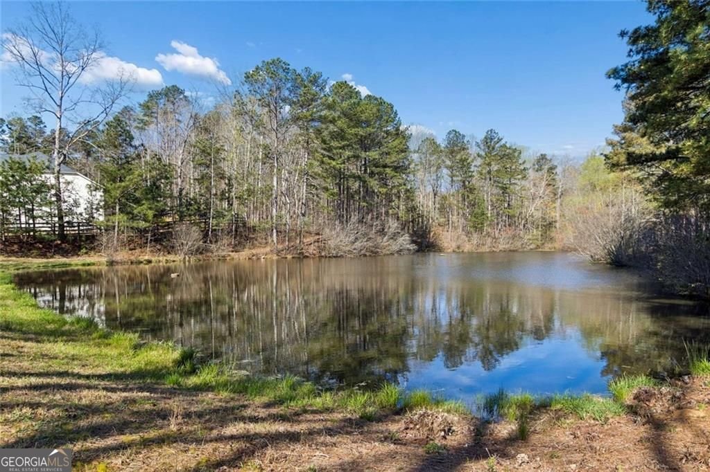 4345 Madison Hall Drive Cumming - Photo 21