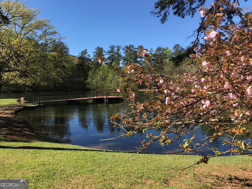 137 Glens Drive Woodstock - Photo 32