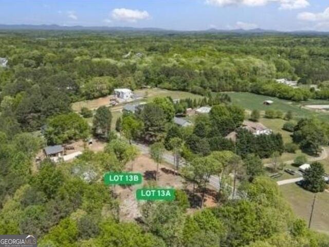 6535 Riley Road Cumming - Photo 50