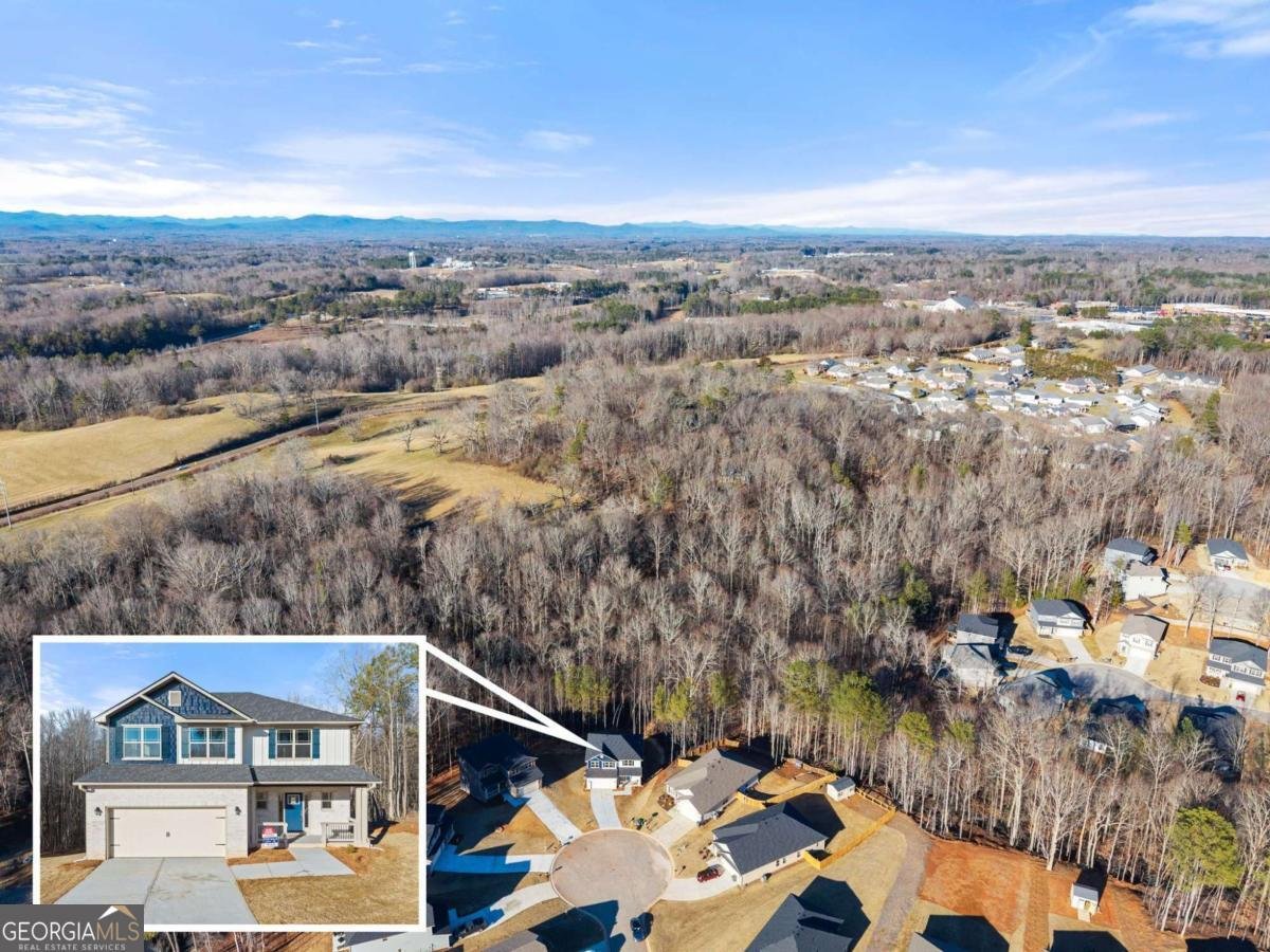 662 Forest Way Cornelia - Photo 48