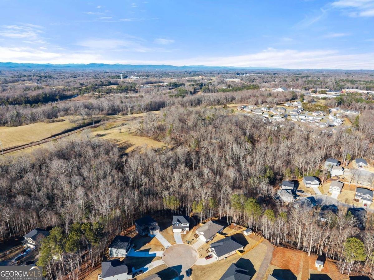 662 Forest Way Cornelia - Photo 51